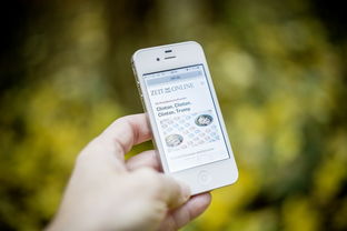 2000元价位，解锁科技生活，超值性价比之选手机解析