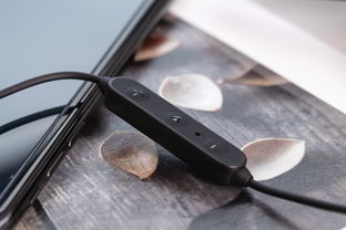 智能生活新升级天语智能语音运动蓝牙耳机,科技与舒适并存的运动伙伴 智能生活新升级天语智能语音运动蓝牙耳机,科技与舒适并存的运动伙伴