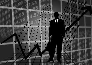 荣耀手机系列深度剖析,如何找到你的荣耀最佳拍档 荣耀手机系列深度剖析,如何找到你的荣耀最佳拍档