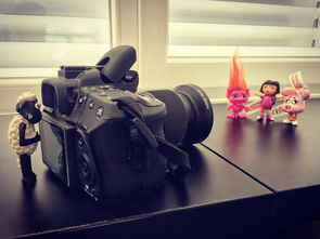 揭秘全画幅微单相机天堂，排行榜背后的故事与摄影新乐趣