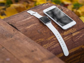 三星G5500，一款实用与科技的完美融合——解锁生活中的智能手机艺术