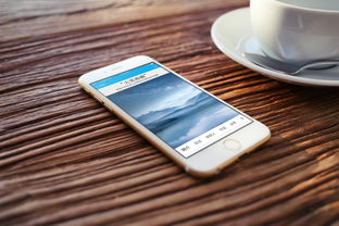 Nokia软件商店,你的手机生活升级秘籍 Nokia软件商店,你的手机生活升级秘籍