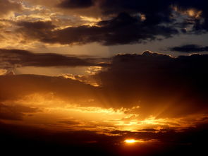 美轮美奂的手机壁纸,点亮生活的小确幸 美轮美奂的手机壁纸,点亮生活的小确幸