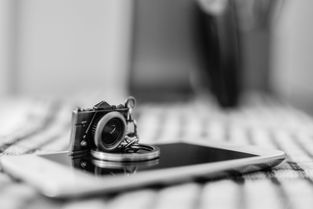 音乐无界，尽在苹果随身听iPod，一款引领潮流与创新的数字生活伙伴