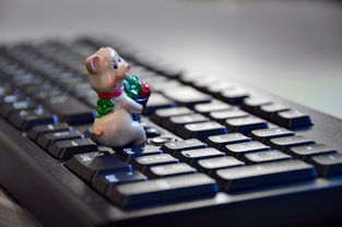 一键翻新,轻松驾驭,探索Fastboot刷机工具的科技魅力 一键翻新,轻松驾驭,探索Fastboot刷机工具的科技魅力