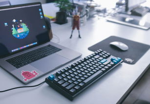 揭秘苹果平板Mini 6，官网价格背后的秘密与全面指南