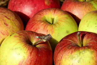 揭秘苹果5s的市场价值与收藏价值,价格走势与你的回忆 揭秘苹果5s的市场价值与收藏价值,价格走势与你的回忆