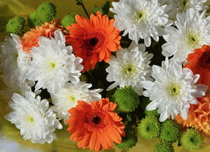 揭秘万元以下王者，百元机性价比之王的秘密花园