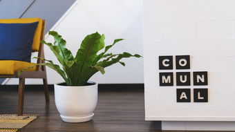 小米Note9,全能旗舰的智慧生活指南 小米Note9,全能旗舰的智慧生活指南