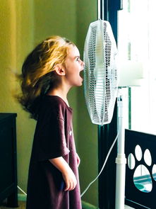 宝宝一气呵成丝滑入睡，解锁高效哄睡技巧，享受宁静夜晚