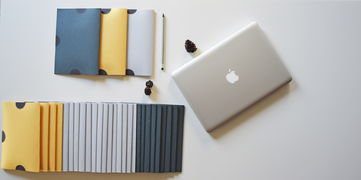 提升电脑思维速度—揭秘联想Y450内存条的魔法世界 提升电脑思维速度—揭秘联想Y450内存条的魔法世界