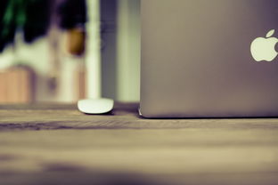 掌握最新动态!全方位解析苹果笔记本电脑官网报价查询攻略 掌握最新动态!全方位解析苹果笔记本电脑官网报价查询攻略