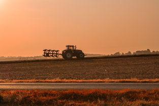 无人机撒肥，高效农业的新篇章—1000斤肥料仅需250元