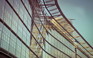 上海疫情新动态,新增本土确诊215例的应对与思考 上海疫情新动态,新增本土确诊215例的应对与思考