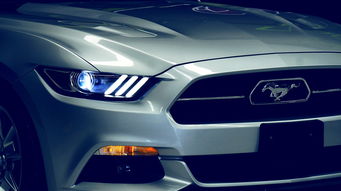 追踪病毒的侦探,揭秘核检阳性夫妻的轨迹图 追踪病毒的侦探,揭秘核检阳性夫妻的轨迹图