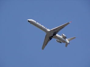 疫情动态更新,31省区市新增确诊7例,本土1例的解读与应对 疫情动态更新,31省区市新增确诊7例,本土1例的解读与应对