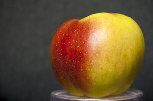 2024年3月，苹果产品发布预测与期待