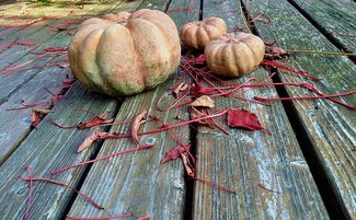 江苏疫情动态，深入了解与防控指南