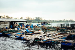 苏州战疫,小区里的守望相助 苏州战疫,小区里的守望相助