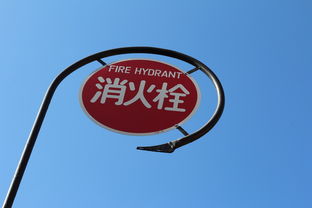 知识的力量，探索百科问答游戏APP的革命性魅力