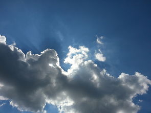 望奎疫情新动态,携手共筑健康防线 望奎疫情新动态,携手共筑健康防线