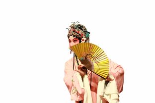 穿越千年的瑰宝，中国传统文化的精髓与传承