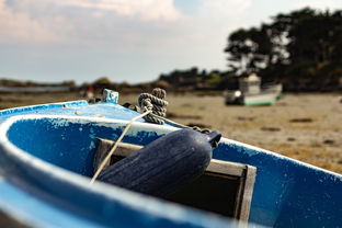 大连疫情新动态，共同守护我们的城市