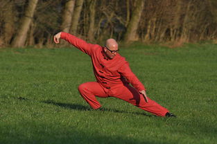 长沙战疫,最新疫情动态与市民生活指南 长沙战疫,最新疫情动态与市民生活指南