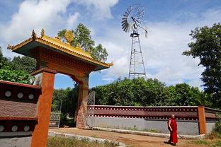 疫情动态，解析31省份新增本土确诊75例背后的信息与防控策略