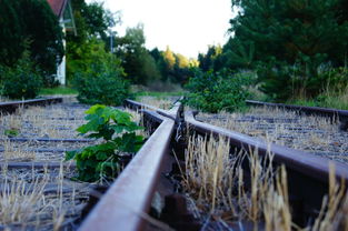 广州疫情新动态,一确诊病例活动轨迹公布,市民需警惕并加强防护 广州疫情新动态,一确诊病例活动轨迹公布,市民需警惕并加强防护