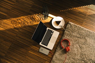 深入了解天语手机，质量与性能的全面解析