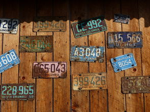 探索传统文化的奥秘,小问题背后的大智慧 探索传统文化的奥秘,小问题背后的大智慧