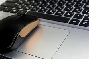 惠普笔记本电脑系列，你的数字生活伙伴