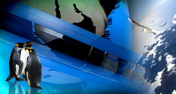 动漫之家,探索二次元世界的无限魅力 动漫之家,探索二次元世界的无限魅力