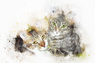 动物王国的数字宝库，探索动物类百科全书电子版的奇妙世界