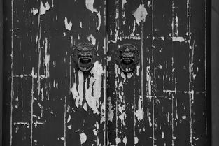 中华传统文化百部,穿越千年的智慧与美学 中华传统文化百部,穿越千年的智慧与美学