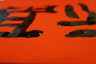 探索中国传统文化的精髓,题记中的艺术与智慧 探索中国传统文化的精髓,题记中的艺术与智慧