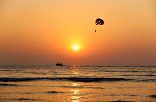 探索知识的海洋，盘点最受欢迎百科知识问答游戏