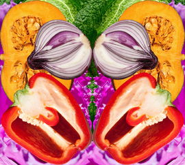 动物王国的奇妙之旅,百科全书知识与图片简笔画的完美结合 动物王国的奇妙之旅,百科全书知识与图片简笔画的完美结合