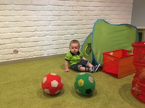 开启幼儿智慧之门,科普知识资料大全 开启幼儿智慧之门,科普知识资料大全