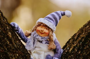 小小科学家的启蒙之旅，幼儿科普常识视频的魅力