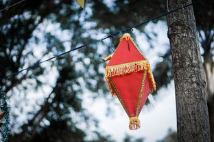 春节,穿越千年的庆典 春节,穿越千年的庆典