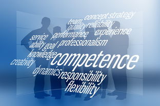 深入探讨经验的近义词及其应用 深入探讨经验的近义词及其应用