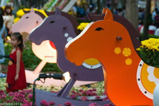 动物百科图画，探索自然界的多彩画卷