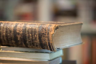 掌握阅读的艺术,如何有效阅读 掌握阅读的艺术,如何有效阅读