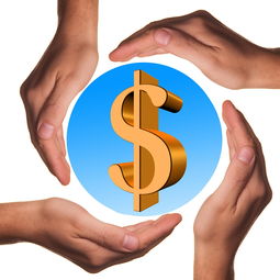 深入解析,实践经验的真正含义及其在个人成长中的重要性 深入解析,实践经验的真正含义及其在个人成长中的重要性