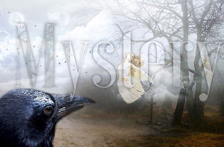 动物科普小视频，探索动物世界的奇妙之旅