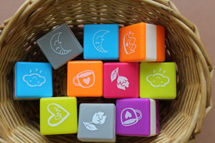 探索知识的宝库，儿童百科大全题目图片的趣味之旅