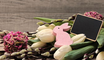 传统文化小报,探索中国传统文化的瑰宝 传统文化小报,探索中国传统文化的瑰宝