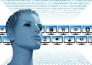 数字化浪潮中的瑰宝，传统文化APP用户深度分析